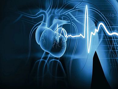 Illustration eines menschlichen Herzens mit EKG-Linie