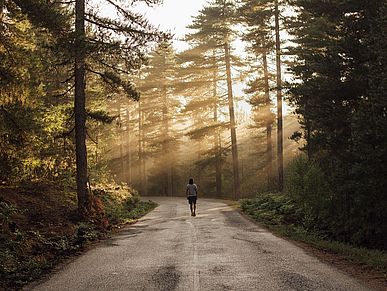 Ein Mann läuft auf einem Waldweg. Durch die hohen Bäume am Wegesrand dringt das Sonnenlicht und durchflutet das Bild.