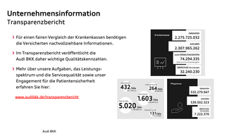 Grafik mit Details zum Transparenzbericht.