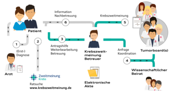 Grafik Ablauf Krebszweitmeinung