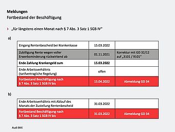 Informationen zur Meldung des Fortbestands von Beschäftigungsverhältnissen