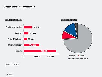 Informationen zum Unternehmen AudiBKK