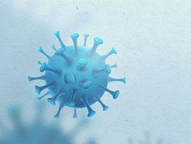 ein Bild von vergrößerten Viren
