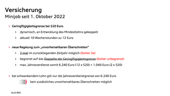 Grafik zu Minijobs 2022