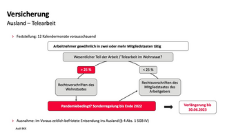 Infografik zu Versicherung (Ausland und Telearbeit).