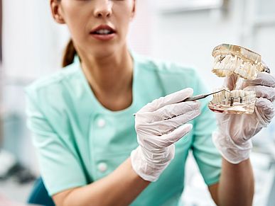 Eine Zahnärztin erklärt an einem Zahn-Modell